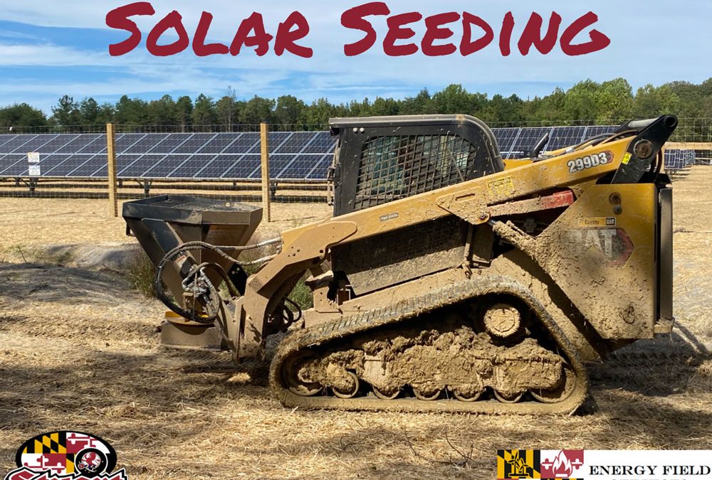Solar Seeding